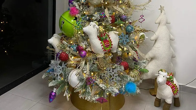 ARBOL 5